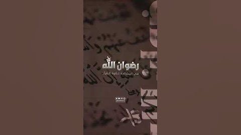 كثرة تلاوة القرآن تُرضي الله عنك . الشيخ محمد الشنقيطي