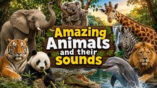 ⭐️ Amazing Animals and Sounds for Curious Kids &amp; Toddlers | Interactive Learning