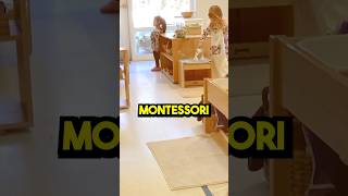 Differences between Reggio Emilia and Montessori school? #earlychildhoodeducation #preschoolteaching