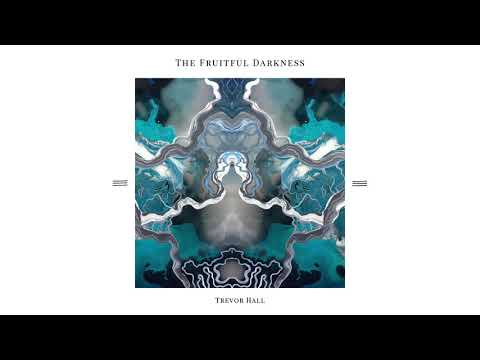 Trevor Hall Everything I Need