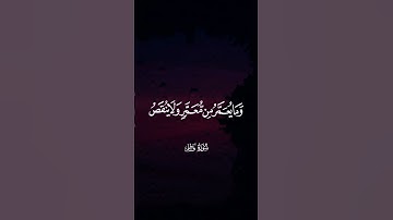 تلاوة عطرة من سوره فاطر