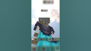 Weird Things About Minecraft LOGIC Part- 3 #shortvideo