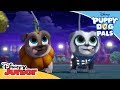 Haunted Halloween | Puppy Dog Pals | Disney Junior Arabia