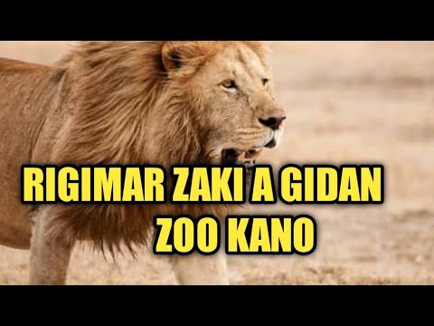 Ku kalli yadda zaki yake hankoron fitowa daga Gidan Zoo yau