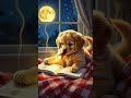 "The Puppy Who Read By Moonlight | Stop Scrolling, Start Growing