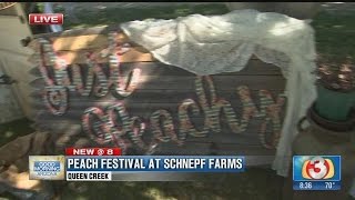 Celebrating Peach Festival at Schnepf Farms