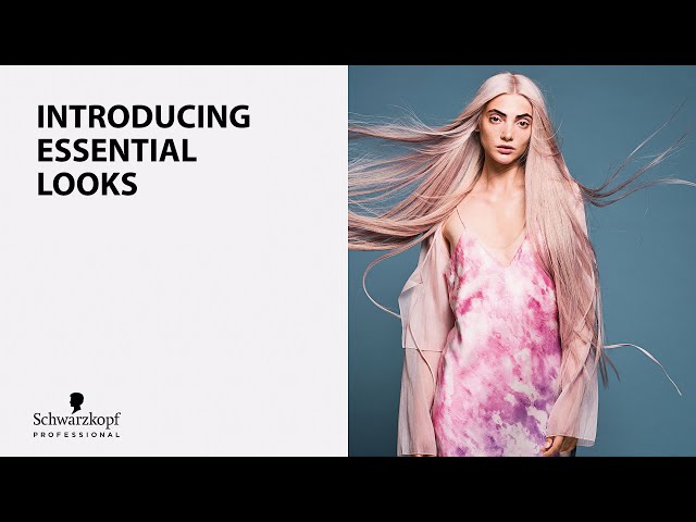 Introducing Essential Looks