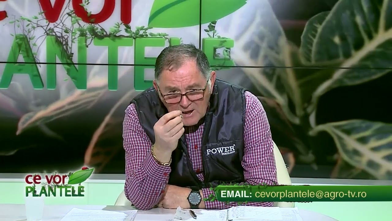 VIDEO Dr. Ing. Horia Ghibu - Cum tratăm semințele de legume înainte de plantare 1 VIDEO Dr. Ing. Horia Ghibu - Cum tratăm semințele de legume înainte de plantare YouTube player