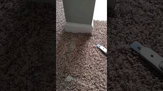 Home Improvement, Carpet fix for Pet Damage | Before & After