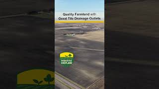 SOLD! One-Chance Sealed Bid Sale! 312.25 Acres, m/l, Brown County, MN