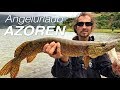 AZOREN - São Miquel - Angelurlaub auf Barracuda, Hecht und Bluefish