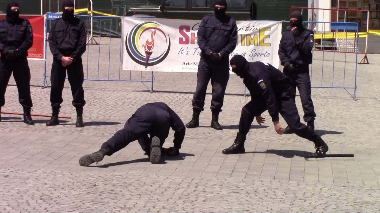 Démonstration de gendarmes roumain