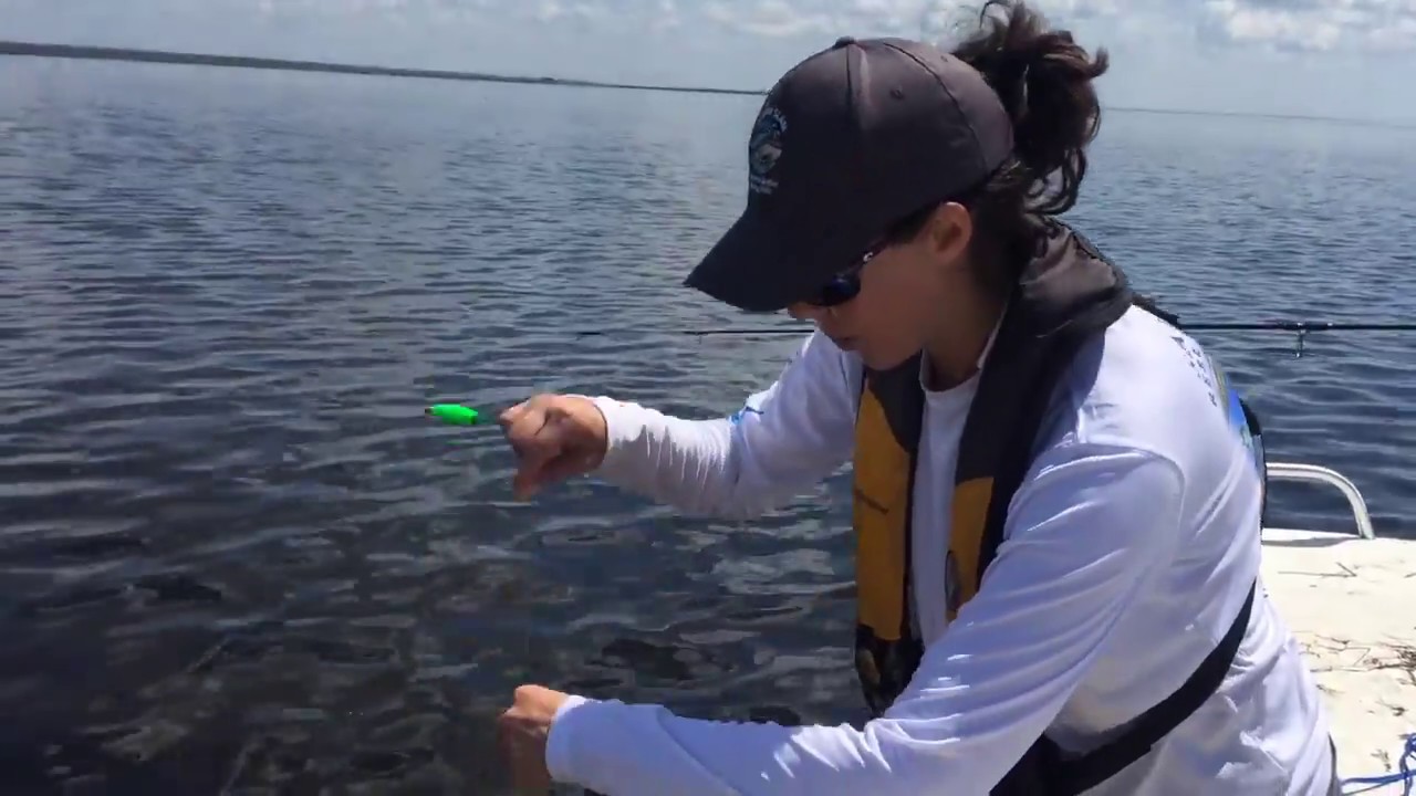 How to ID an Inshore Lizardfish