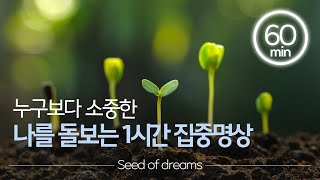 [집중력 부스트업] 작은 씨앗에서 시작되는 성장 1시간 (Long ver.)