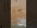 اجتمعوا لكتابة كلمة الحب على رمال البحر لايفوتك Shorts اجتمعوا لكتابة كلمة الحب على رمال البحر لايفوتك Shorts