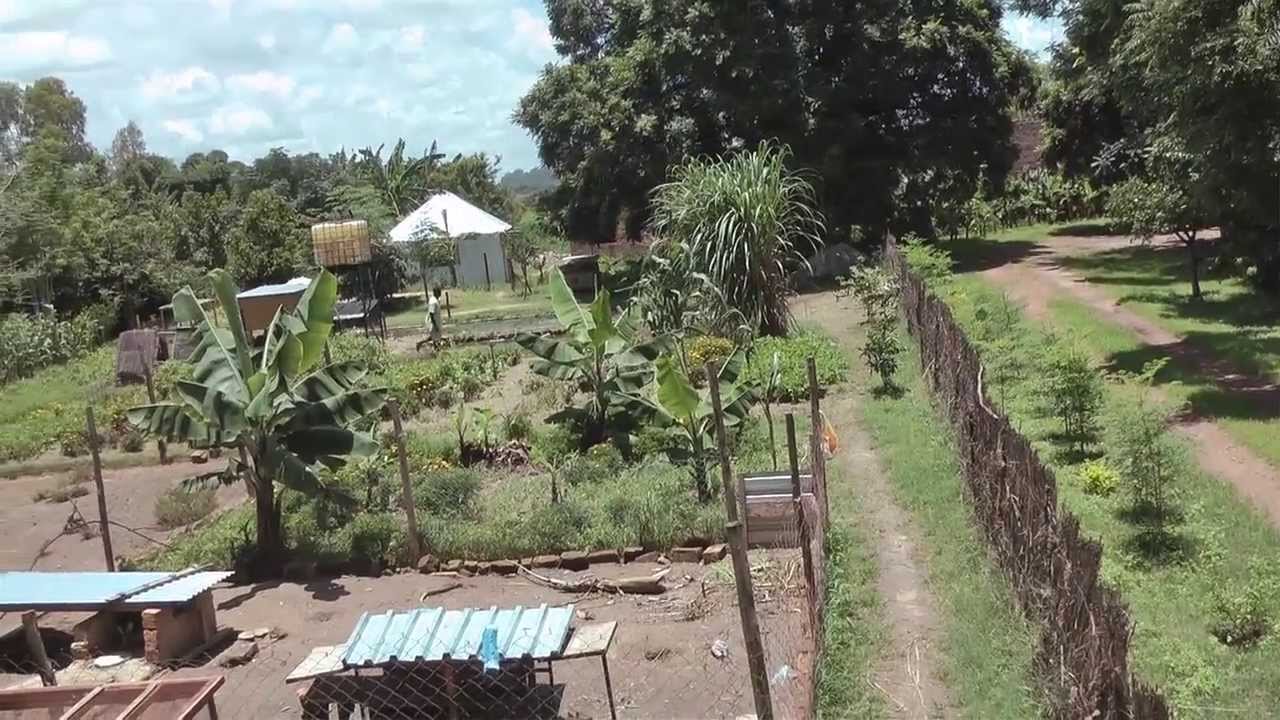Farming God's Way in Zambia YouTube