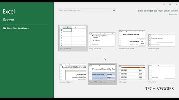 An Introduction to MS Excel Part 1  | Tech Veggies