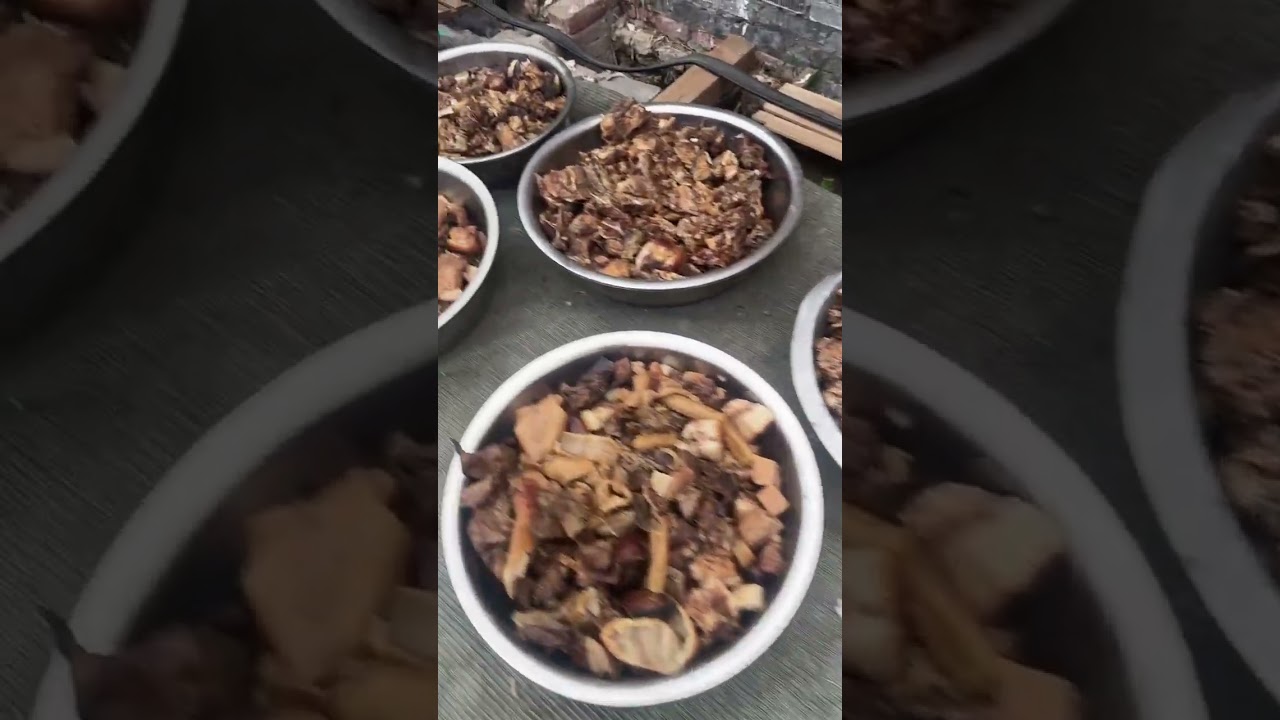 # Stray Animal Rescue # Stray Dogs No Longer Stray # If you don't love them, please don't hurt them