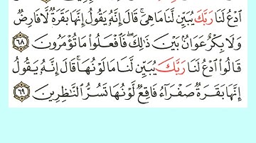 صفحة 10 سورة البقرة مكررة الشيخ عبد الباسط عبد الصمد