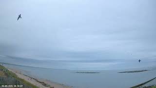 Weather & Tides - Northumberland Aurora - Sunday 30 August screenshot 5