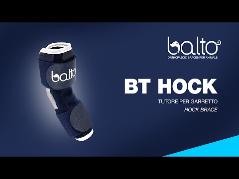 BT HOCK - TUTORE PER GARRETTO – HOCK BRACE