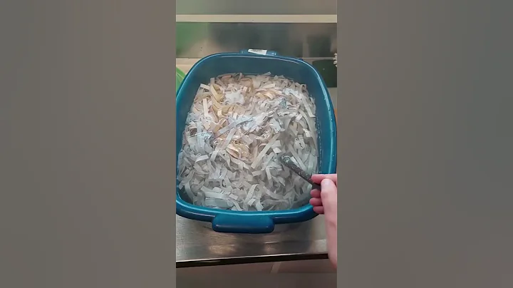 Turn "rubbish" into Art!