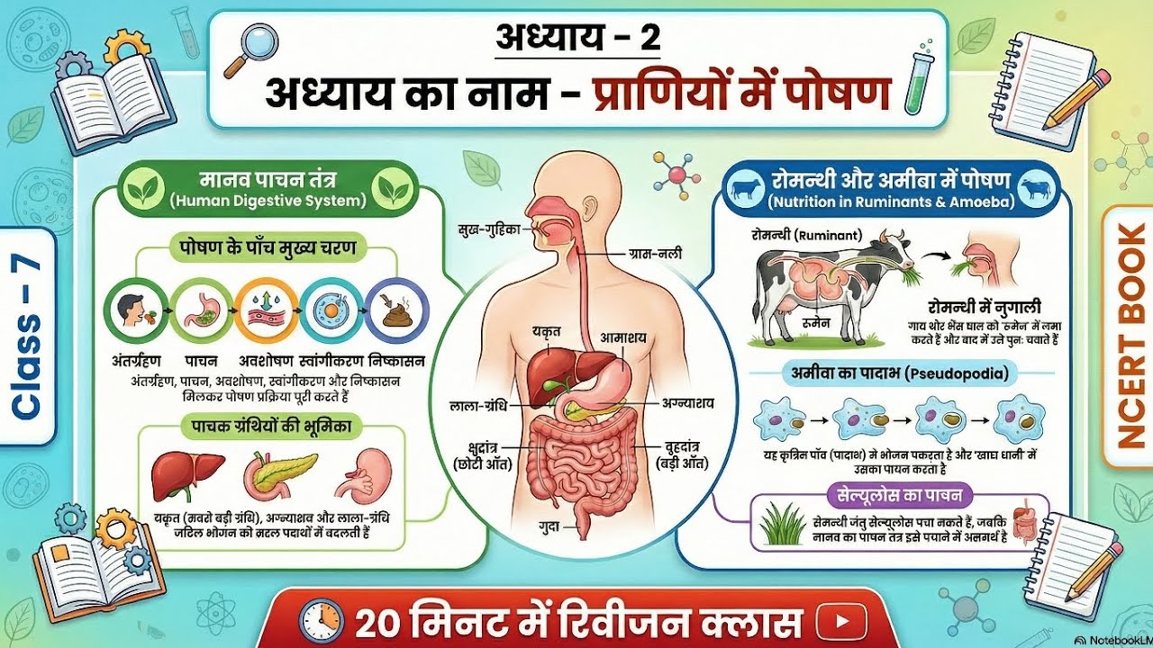 Class 7 NCERT Science Chapter 2 प्राणियों में पोषण | Complete Revision ...