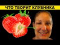 После этого случая КЛУБНИКУ больше не ем. ЧТО ТВОРИТ КЛУБНИКА с организмом?