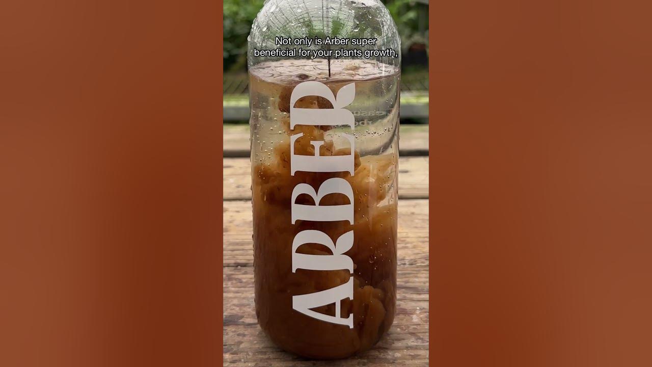arber-plant-food-youtube