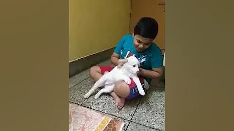 Dog Interacting First time.