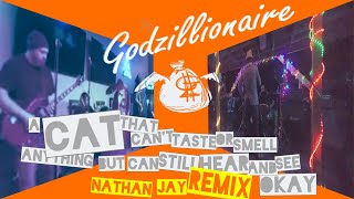 GODZILLIONAIRE - Nathan Jay REMIX - A Cat that Can't Taste or Smell Anything but Can Still Hear...