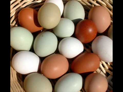 Lebanese Prank Call Baydatak