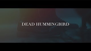 Dead Hummingbird | Bottom Lounge | 010419