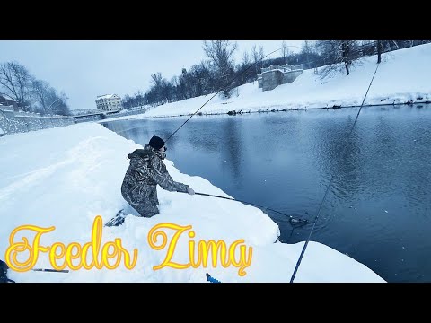 Wideo: Jak łowić Ryby Zimą?