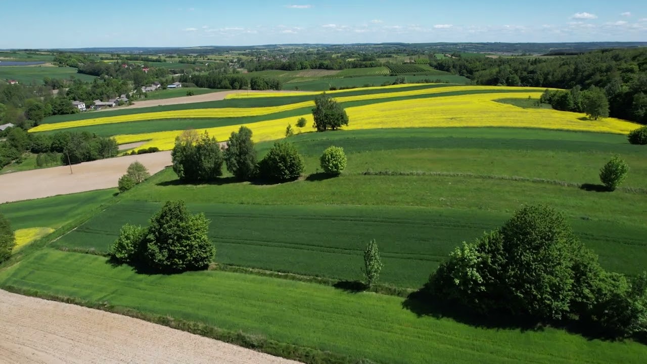 Krajobrazy gminy Izbica. Ostrówek 12 maja 2024 r.