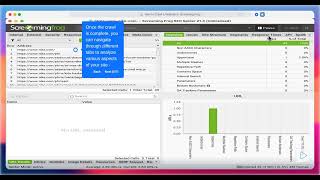 How to Crawl a Website in Screaming Frog Step-by-Step