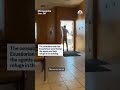 Federal agents tried to enter the Ecuadorian consulate in Minneapolis