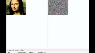 Mona Lisa.wmv