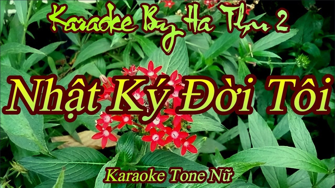 Karaoke Nhật Ký Đời Tôi Tone Nữ Thấp | Karaoke By Ha Thu 2