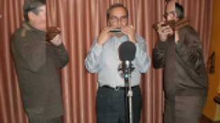Video thumbnail of "Trio Polifonic harmonica - De ce Omul cat traieste"