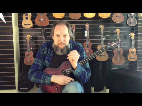 Fishman FT2 Clip On Tuner