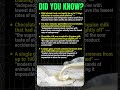 4 Milk Industry Secrets They Never Want You To Kno
