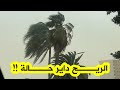 شاهد رياح قوية جد ا تضرب في هذه الأثناء ولاية وهران 