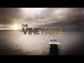 The Vineyard | GreatJoy 35MM 1.8X Speed Boosted