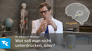 Warum kann ich meine Wut nicht kontrollieren?