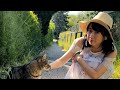 Cattleya カトレア さっき作った曲と近所の猫The song I just made and the neighborhood cat composition adlib impro