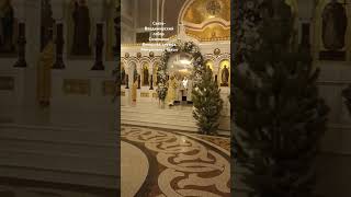#севастополь #путин #крым #море #церковь #митрополит #рождество