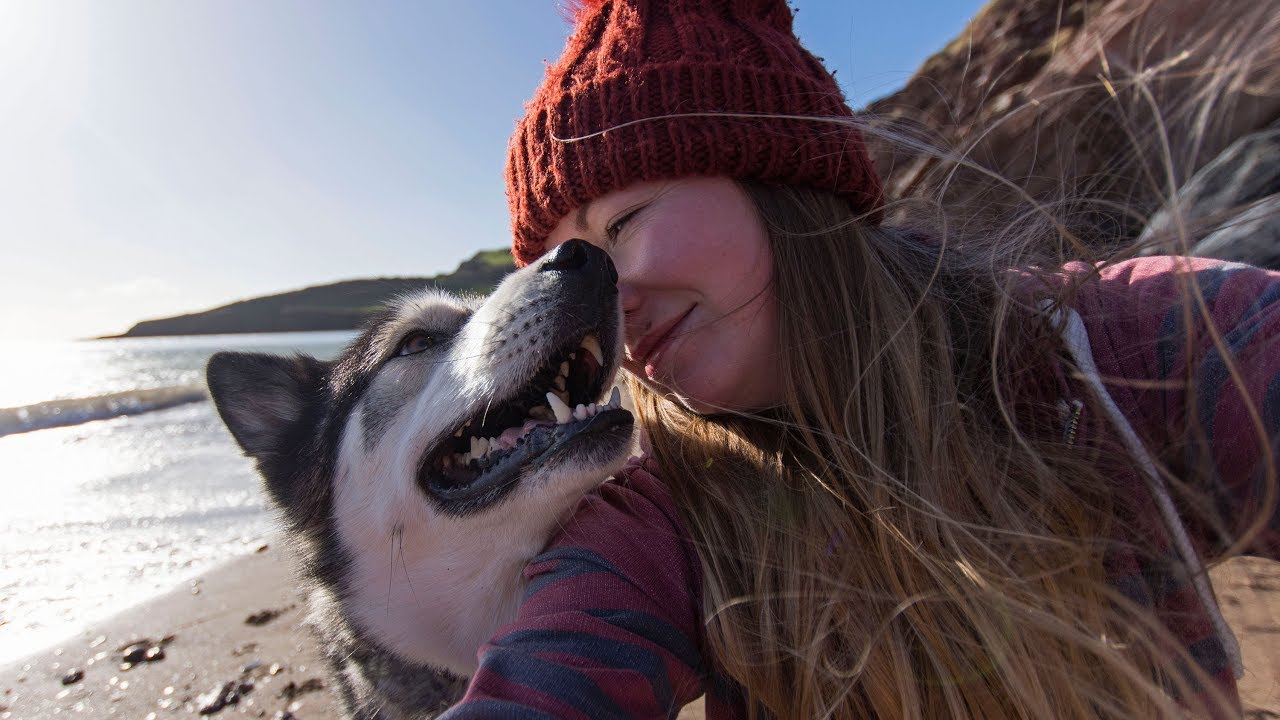 Husky At The Beach Photography and Zoomies