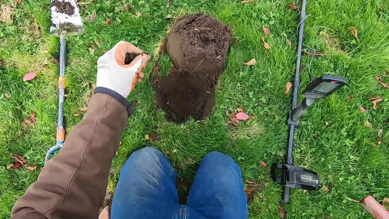 Пляжная программа Minelab Manticore в небольшом парке.