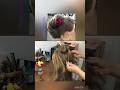 braided ponytail for Girls 🎀 Easy Party Hairstyle for Girls #shorts #youtubeshorts